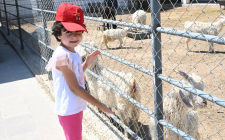 Kırşehir’in Kır-Köy Kampüsü Anadolu’nun Örnek Projesi Olma Yolunda