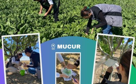 Kırşehir Tarım ve Orman Müdürlüğü'nden Mucur'da Kapsamlı Arazi Kontrolleri