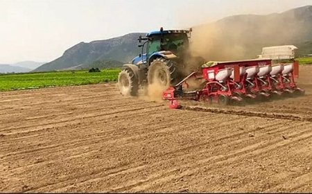 İşlenmeyen Tarım Arazileri Ekonomiye Kazandırılıyor