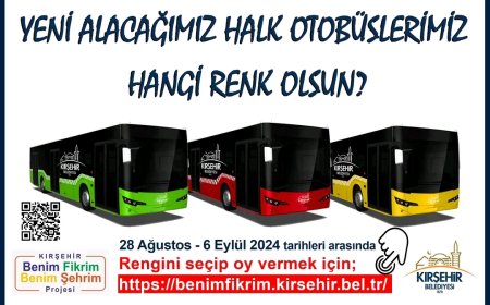 Yeni Halk Otobüslerinin Rengini Seçmek İçin Oy Verin!