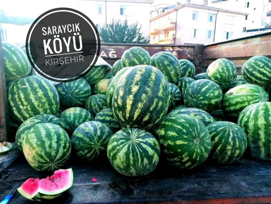 Saraycık Karpuzu Tezgahlardaki Yerini Aldı