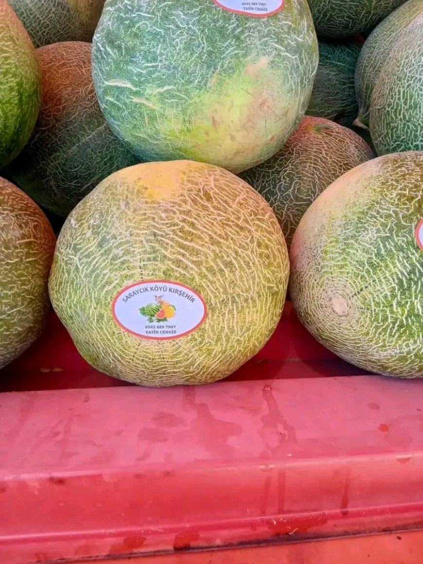 Saraycık Karpuzu Tezgahlardaki Yerini Aldı