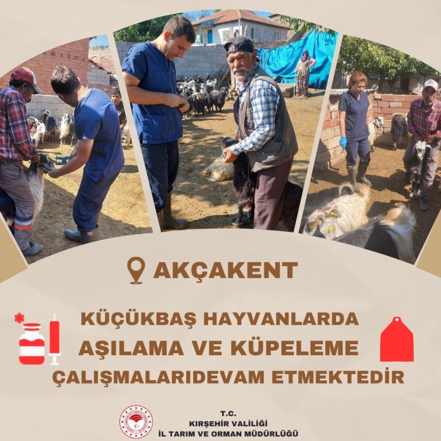 Hayvan Sağlığı ve Refahına Yönelik Çalışmalar Sürüyor