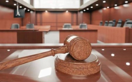 Dilruba'ya 7 ay 15 gün hapis cezası verildi, hükmün açıklanması geri bırakıldı