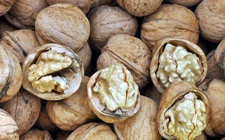 Kaman Cevizi: Efsane Lezzet ve Kalitenin Adı