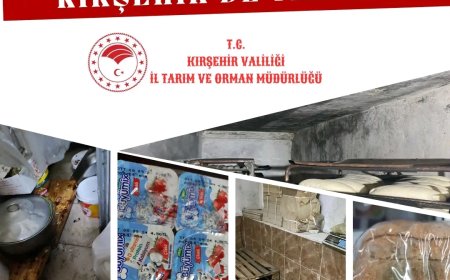 Kırşehir’de Güvenilir Olmayan Gıdalara 1.364.000 TL Ceza: Denetimler Sürüyor.