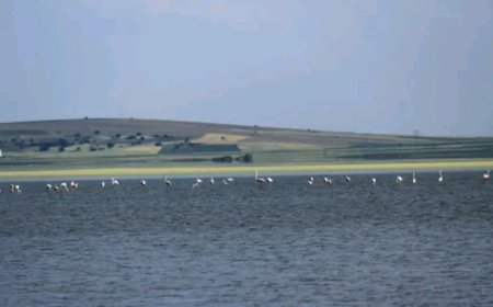 Seyfe Gölü Tabiatı Koruma Alanı'nın Sınırları Yeniden Belirlendi.