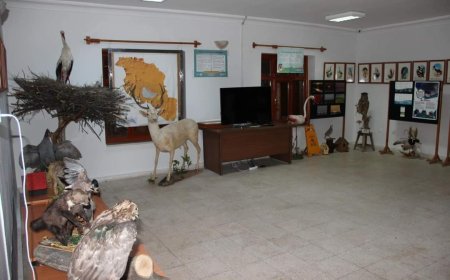 "Seyfe Gölü'nde Yeşilin ve Kuşların Büyüsü: Ziyaretçi Tanıtım Merkezi Doğaseverleri Bekliyor"