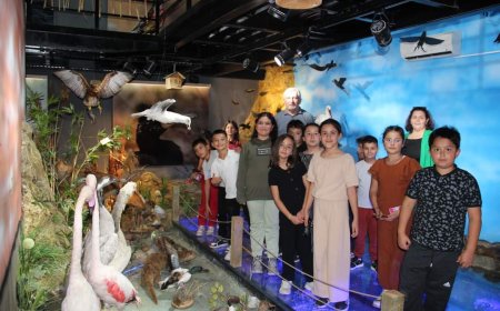 "Kaman Alparslan İlkokulu Öğrencileri Tabiat Müzesi’nde Doğanın Güzelliklerini Keşfetti"