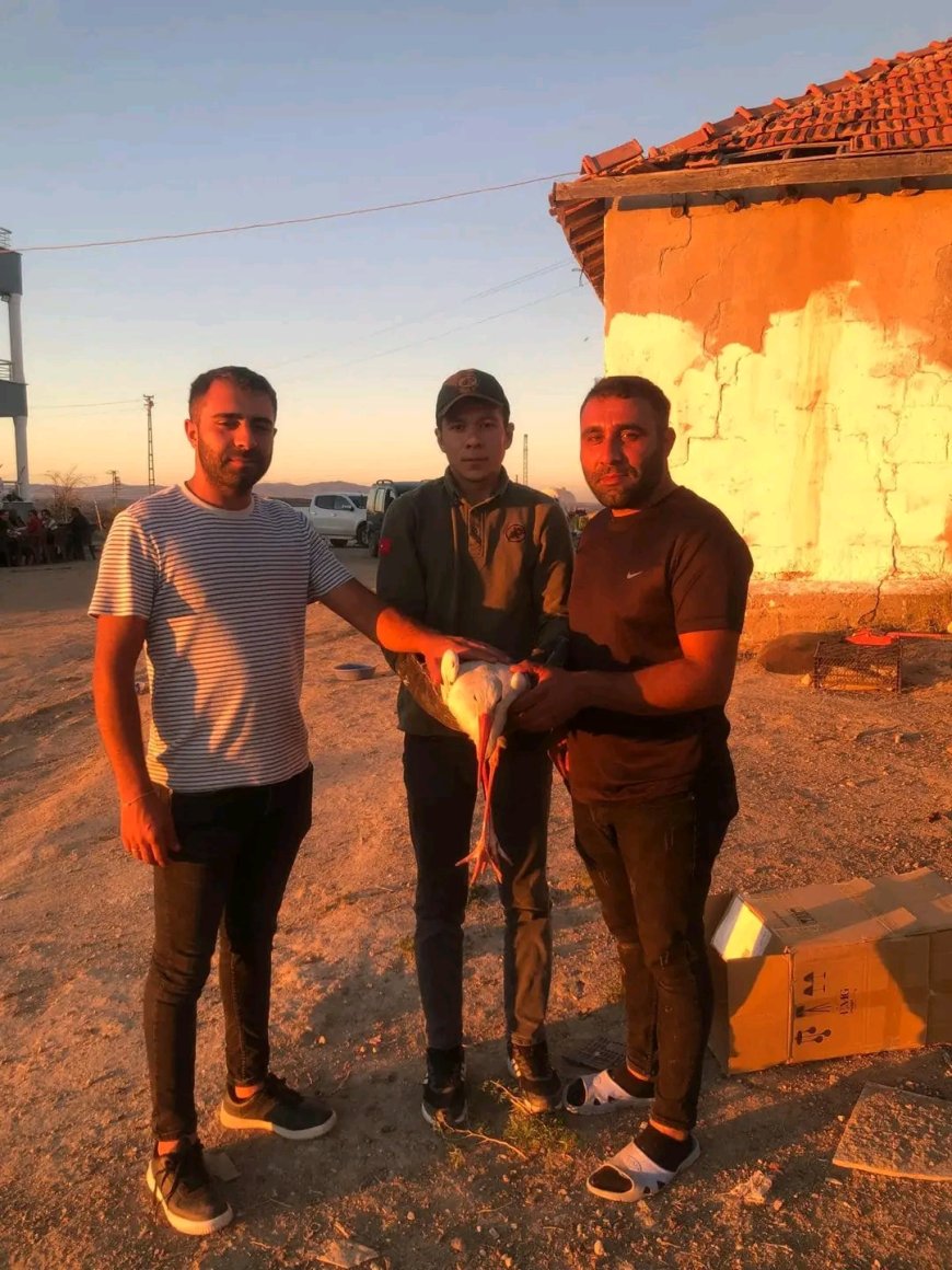 Kırşehir'de Duyarlı Vatandaşlar Yaralı Leyleği Kurtardı, Tedavi Süreci Başlatıldı.