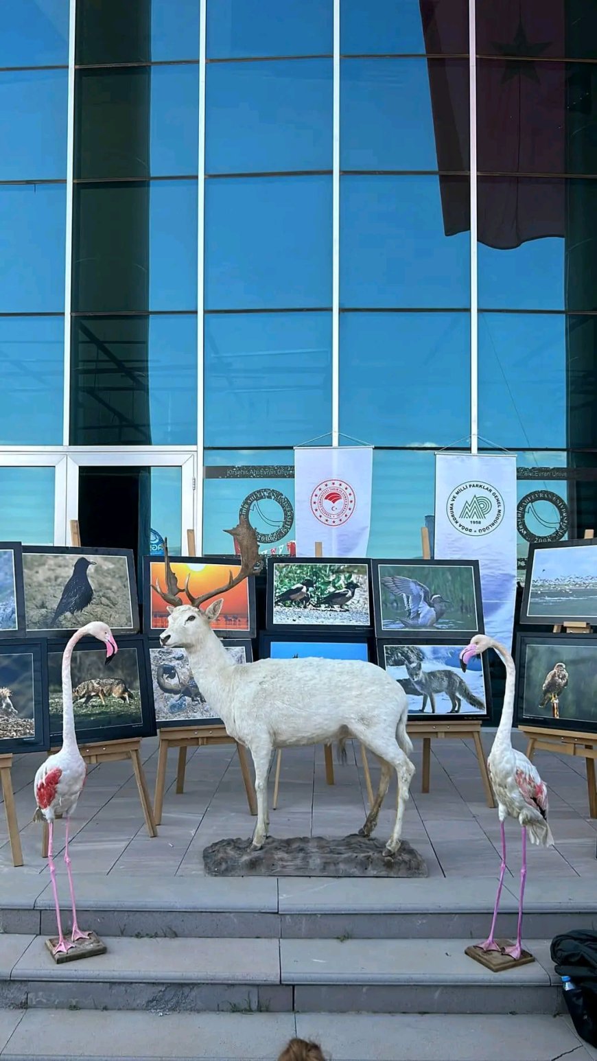 Kırşehir Ahi Evran Üniversitesi'nde 7. Geleneksel Öğrenci Toplulukları Buluşma Şenliği: Doğa Koruma ve Milli Parklar Müdürlüğü Etkinlikte Yer Aldı.