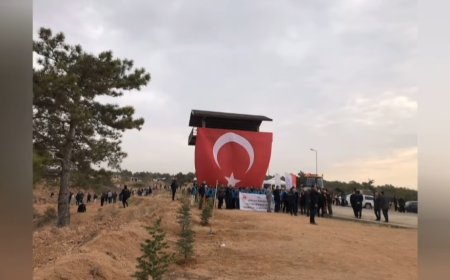 "11 Kasım Milli Ağaçlandırma Günü Kırşehir'de Binlerce Fidanla Coşkuyla Kutlandı."