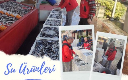 Kırşehir'de Su Ürünlerine Sıkı Denetim: Sürdürülebilir Balıkçılık İçin İlimizde ve Tüm İlçelerde Kontroller Sürüyor.