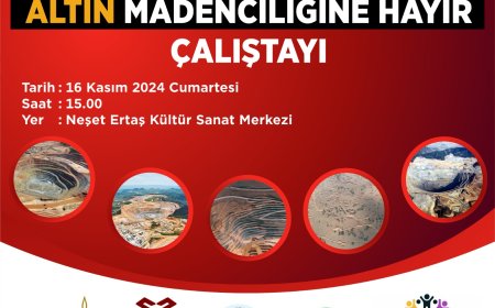 Kırşehir'de Altın Madenciliğine Karşı Mücadele: Çalıştay Düzenleniyor.