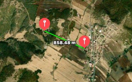 "Kırşehir'de 5. Altın Madeni Onayı Verildi: Akçakent'teki Meşe Ormanları Tehdit Altında, Kırşehir Halkı Karşı Çıkıyor"