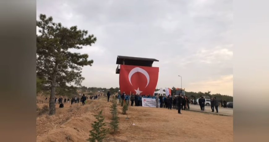 "11 Kasım Milli Ağaçlandırma Günü Kırşehir'de Binlerce Fidanla Coşkuyla Kutlandı."